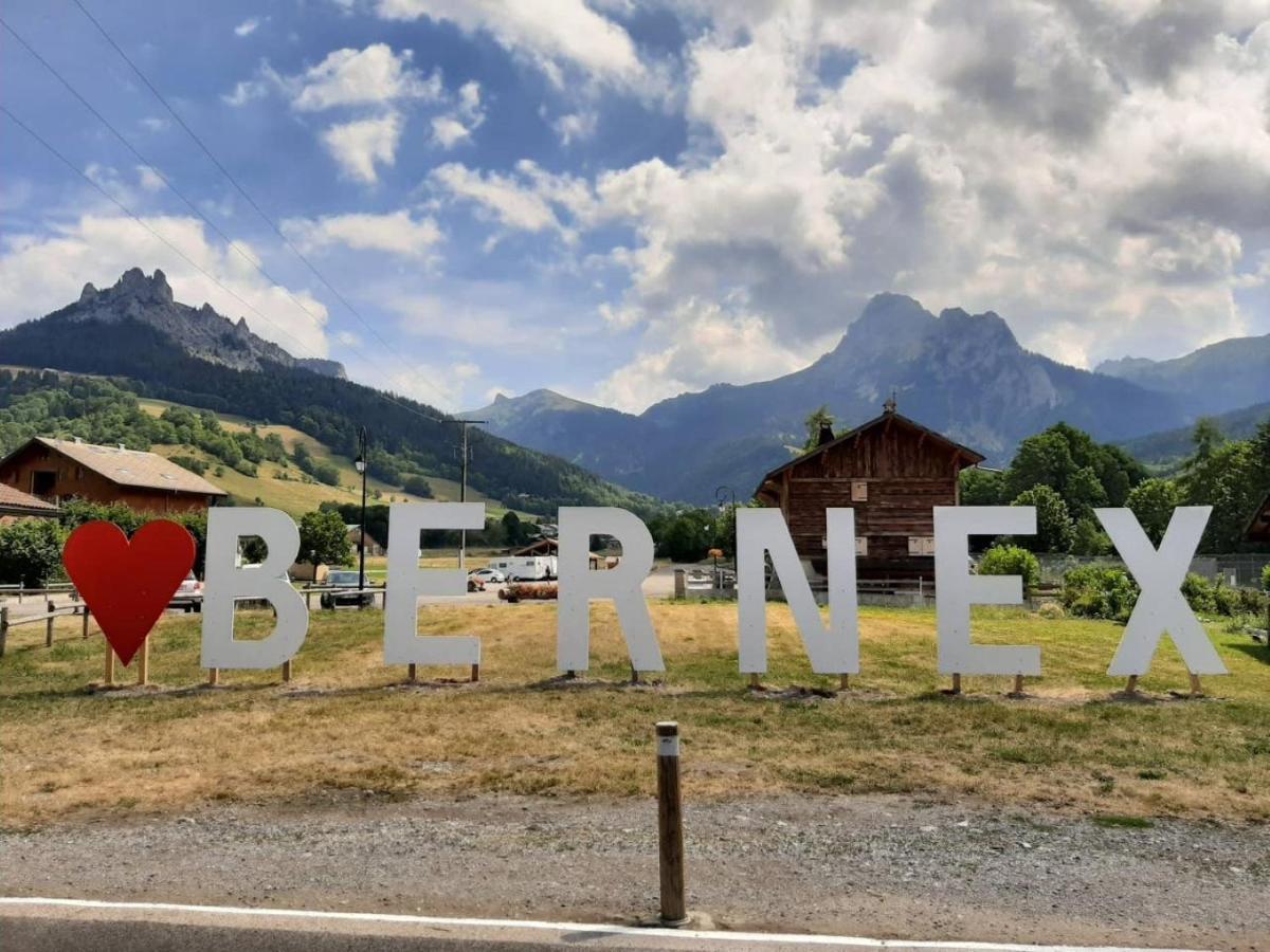 Le 67,Ski Et Randonnee,Lave Linge,Seche Linge,Parking ベルネ エクステリア 写真