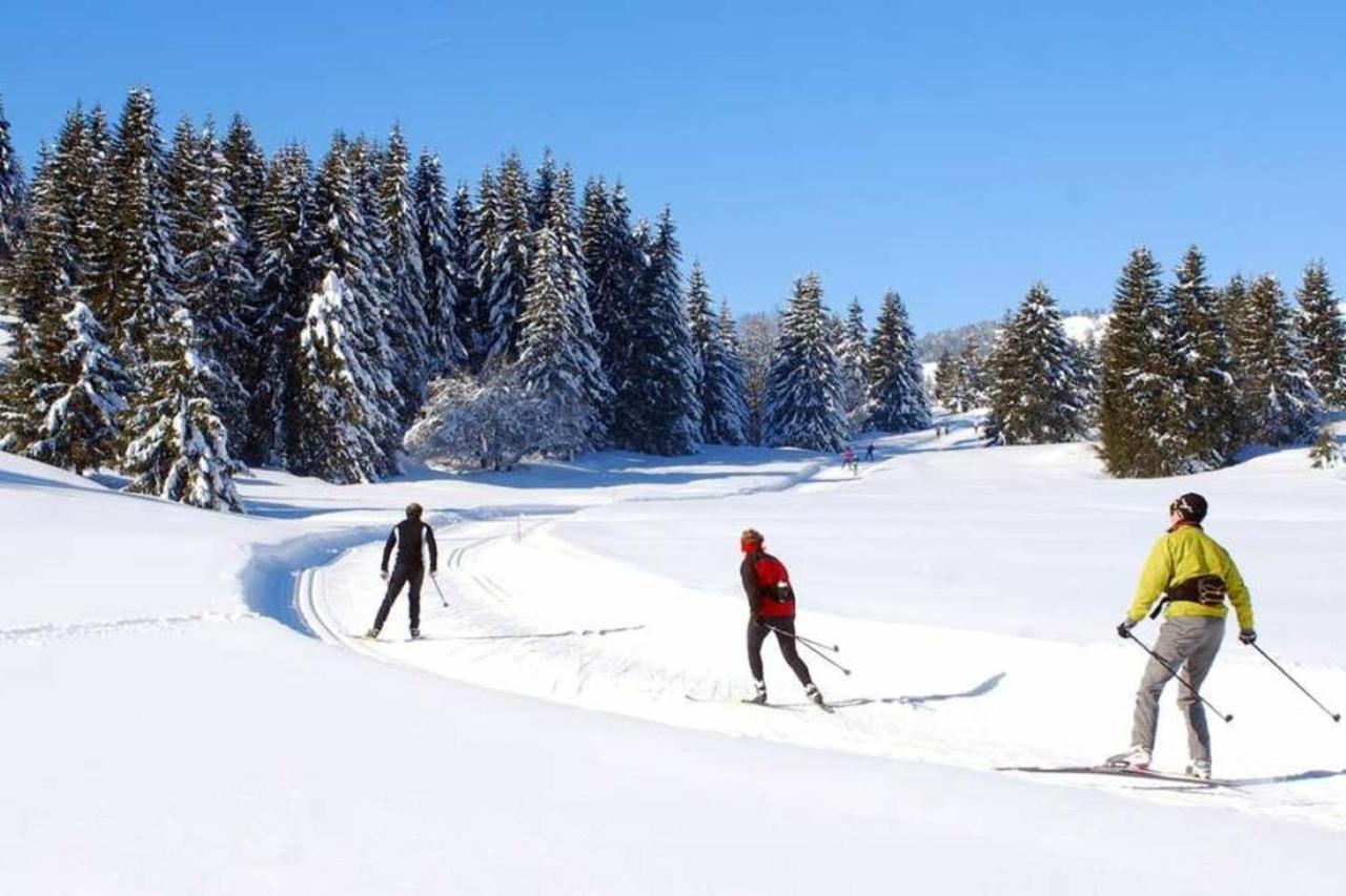 Le 67,Ski Et Randonnee,Lave Linge,Seche Linge,Parking ベルネ エクステリア 写真