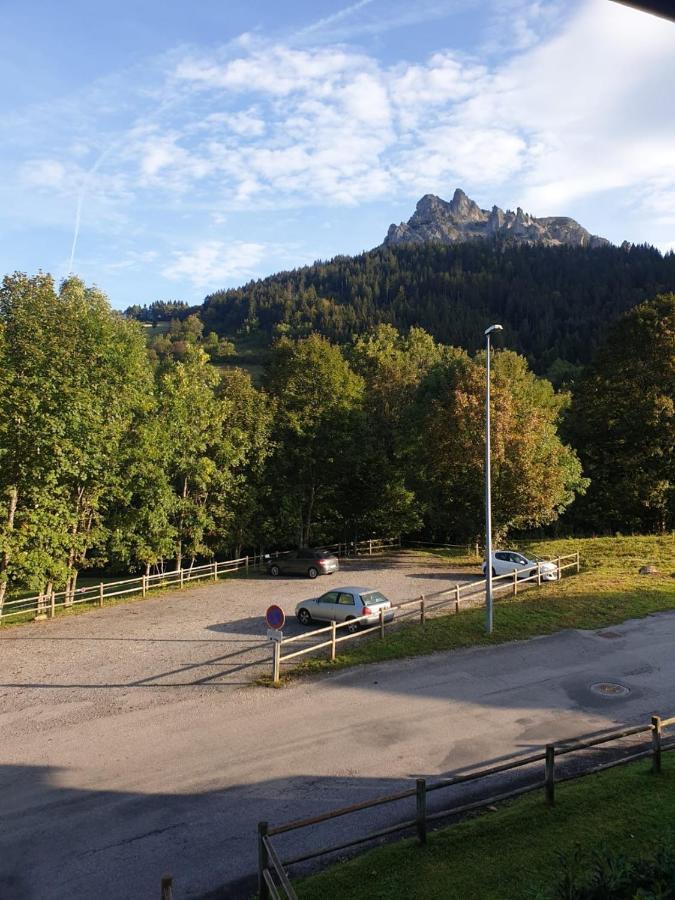 Le 67,Ski Et Randonnee,Lave Linge,Seche Linge,Parking ベルネ エクステリア 写真